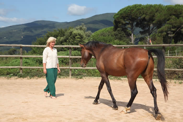 Happy Horse Spain